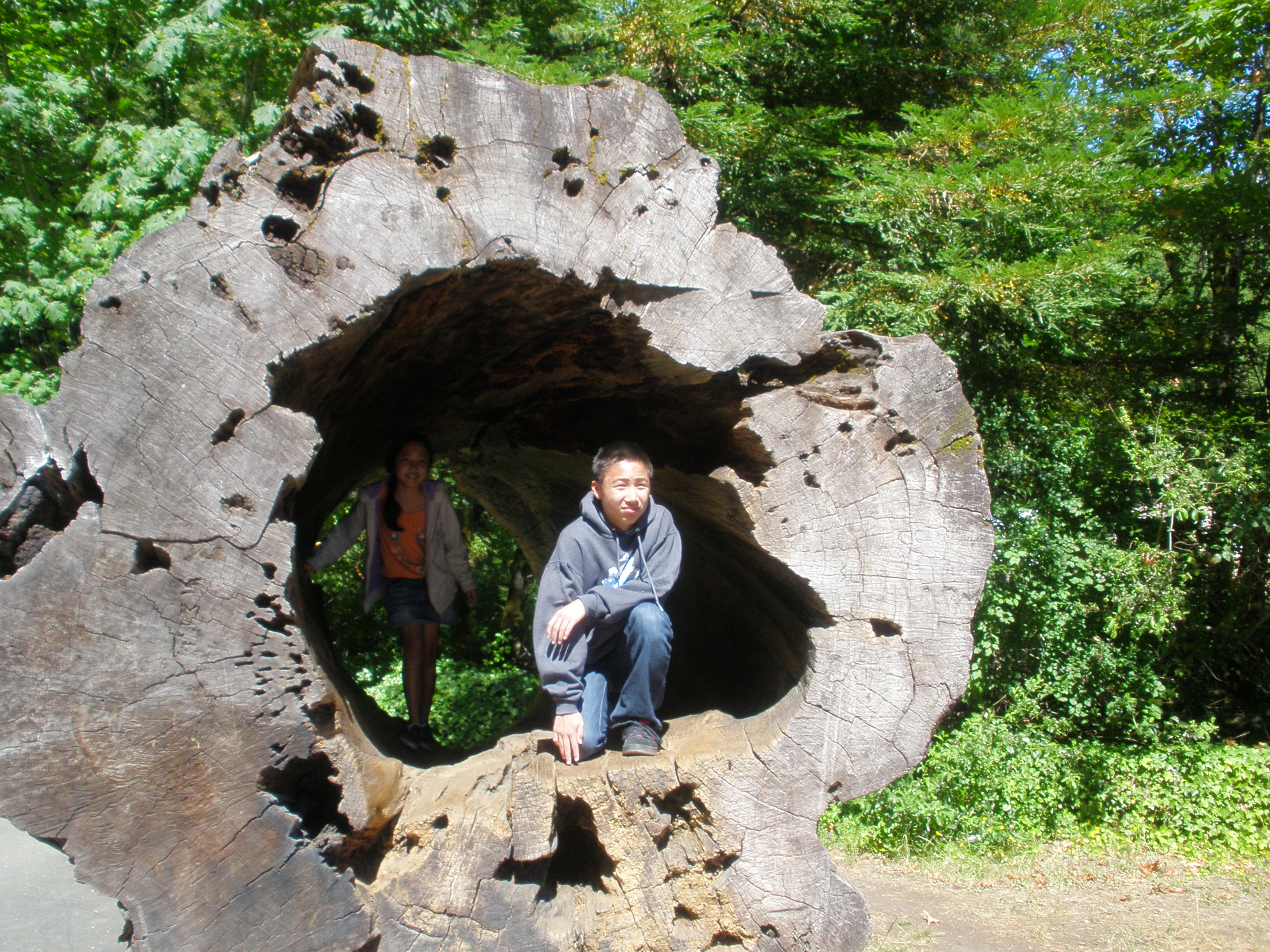 Summer, 2012, with Kara, Andrew and Madeline - Avenue of the Giants - 14